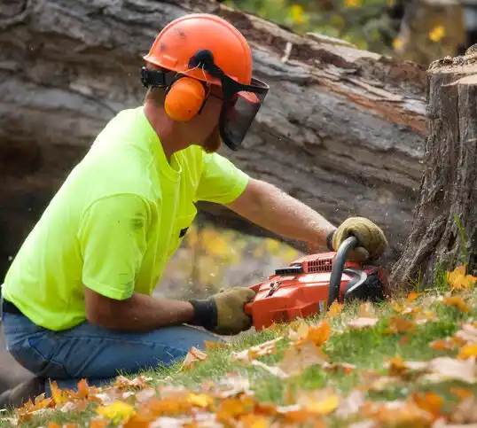 tree services Pleasant Grove